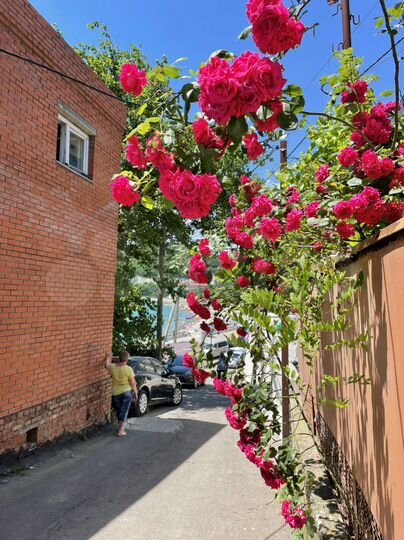 Комната 15 м², 1/2 эт.