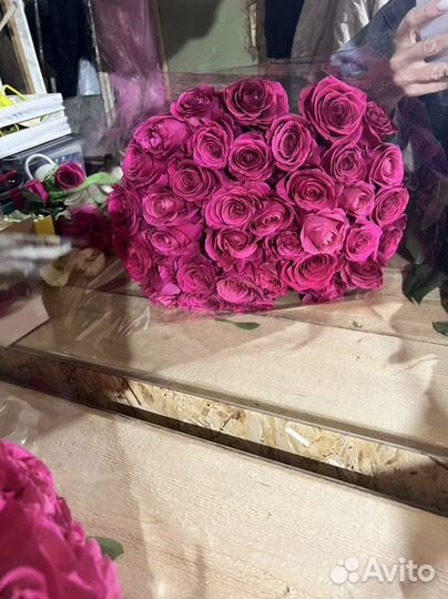 Роза Эквадор букет 25 51 101 большие букеты