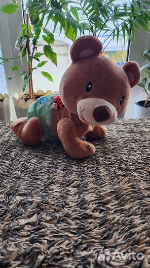 Медведь учит ползать