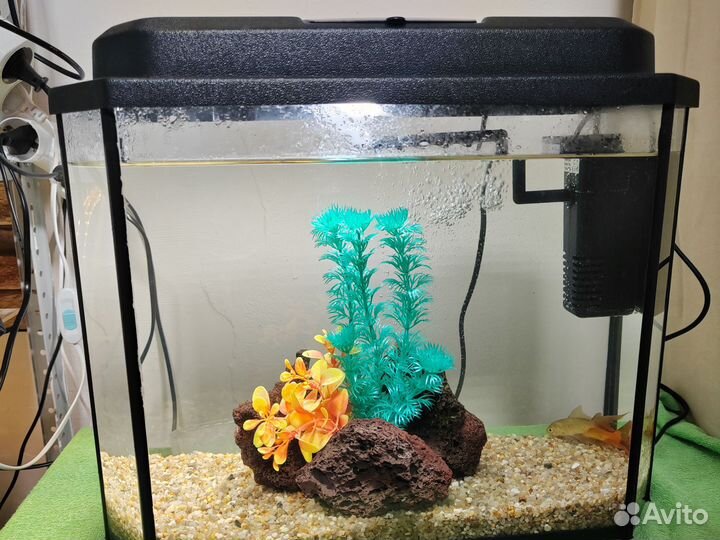 Аквариум с рыбками