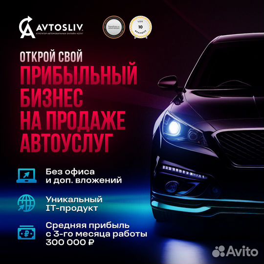 Преуспей на автоуслугах с IT франшизой avtosliv