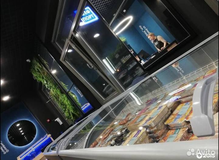 Открытие рыбного магазина под ключ