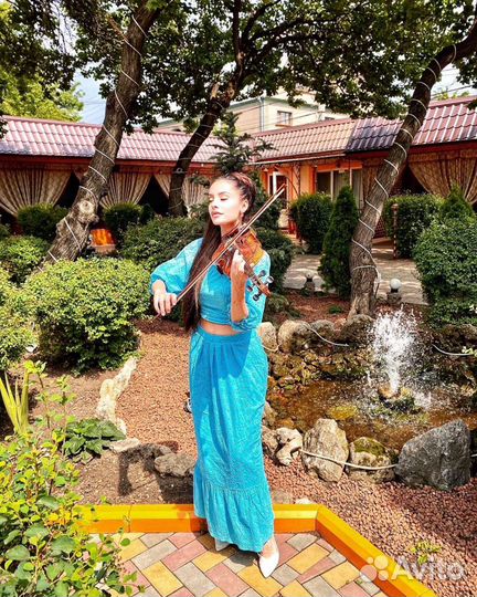 Скрипка на праздник