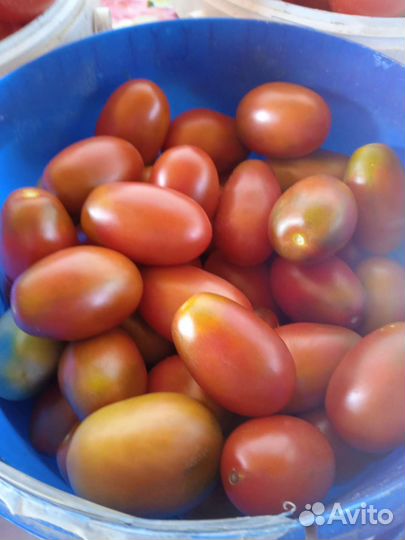 Помидоры