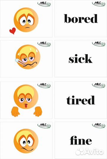 Дизайнер иллюстратор