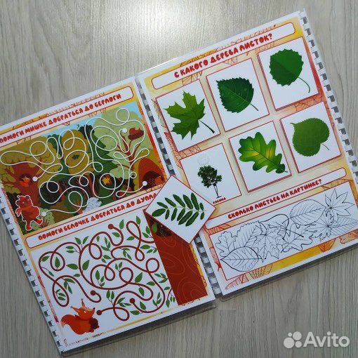 Лэпбук «Осень»