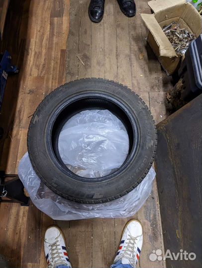 Triangle IcelynX TI501 215/55 R16 97T