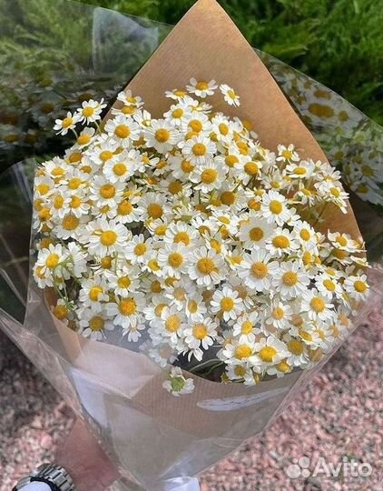 Ромашки букет