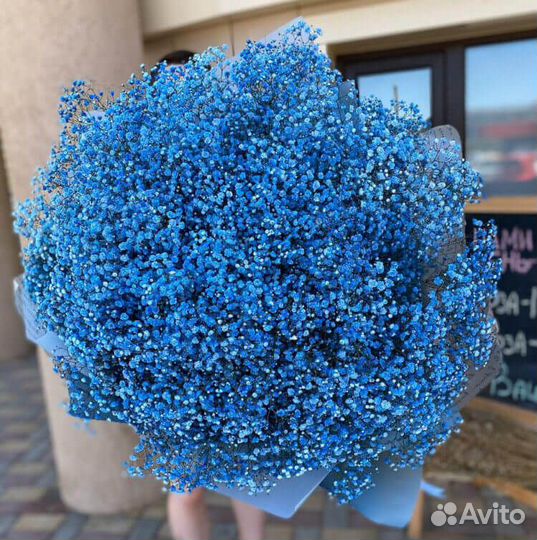 Букет из синих гипсофил 37 шт