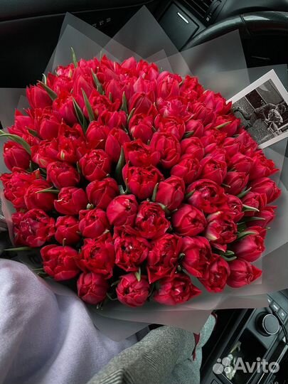 Тюльпанов Букет Тюльпанов Тюльпан