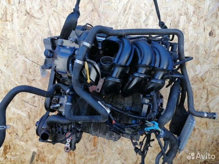 Двигатель Ford Focus 2 (2005 - 2008) 1.6 hwda