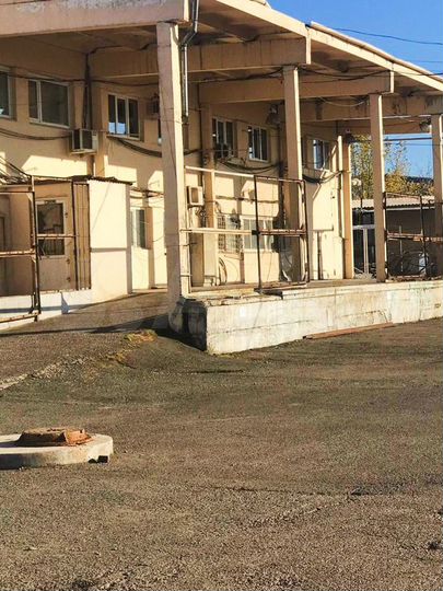 Производство, овощехранилище 10000 м²