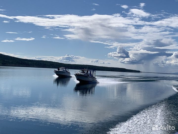 Катер yamaha f24
