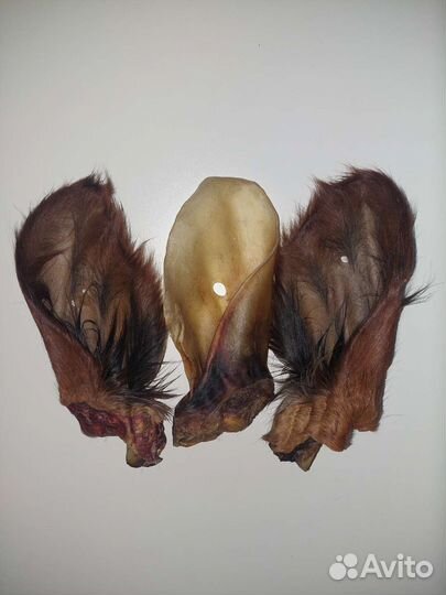 Говяжье легкое для собак, ушки, трахея,рубец