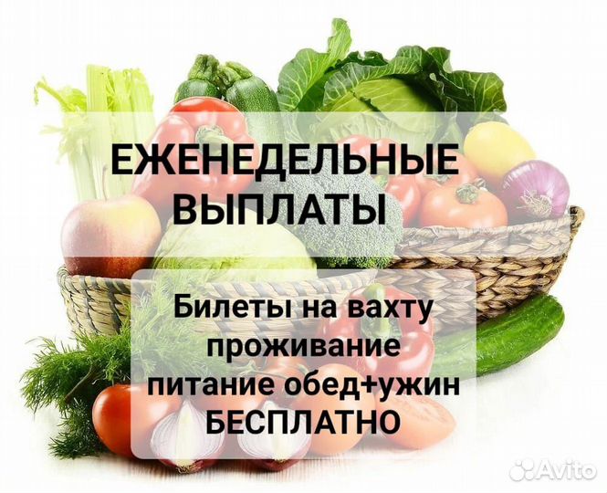 Переборщик продукции вахта Подольск