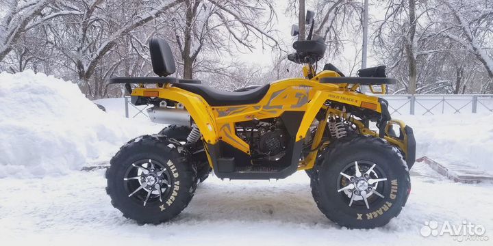 Квадроцикл Motoland Wild Track X 200 PRO с лебедко