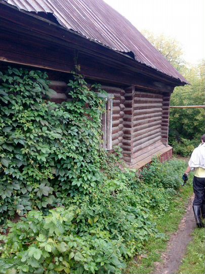 Дом 42 м² на участке 5 сот.