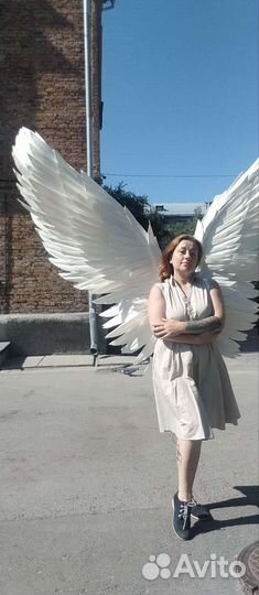 Большие белые крылья