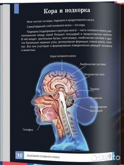 Детские книги пакетом