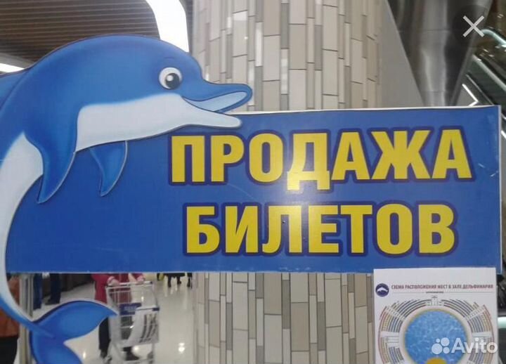 Кассир билетный