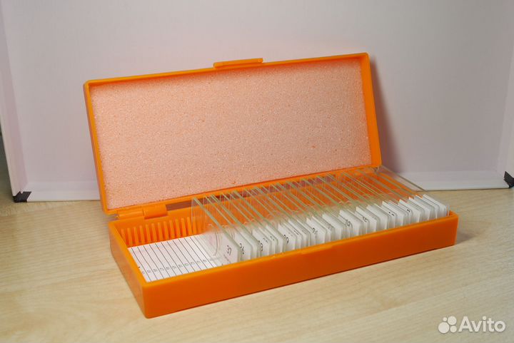 Набор микропрепаратов Levenhuk N38 NG