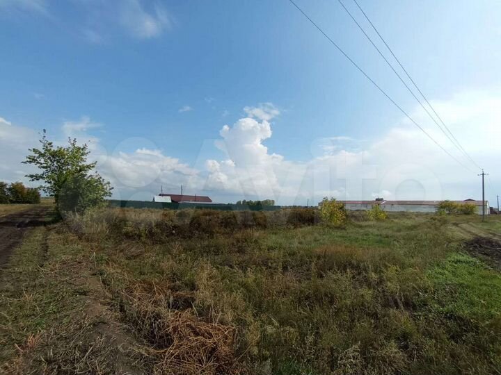 Дом 50 м² на участке 4 га