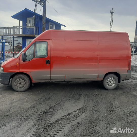 Грузоперевозки