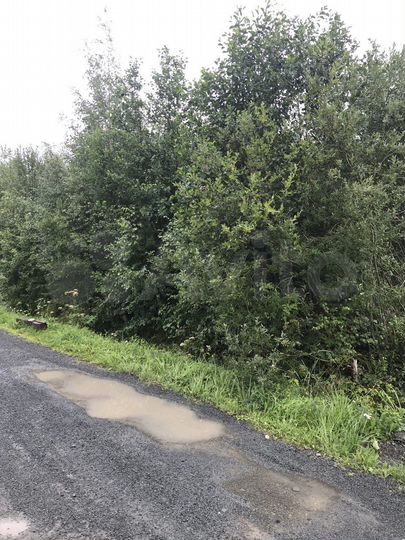 Участок 13,8 сот. (СНТ, ДНП)