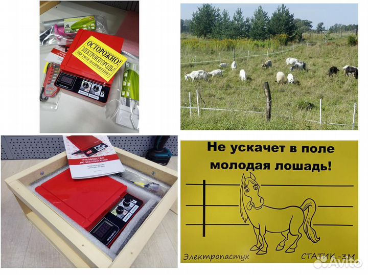 Электропастух