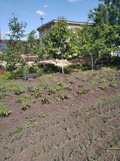 Дача 24 м² на участке 4 сот.