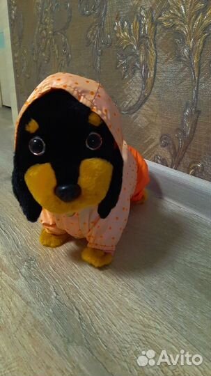 Одежда для маленьких собак