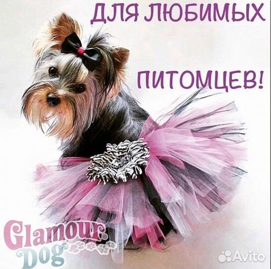 Юбочки для собак