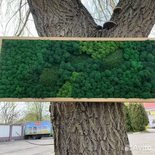 Панно из мха