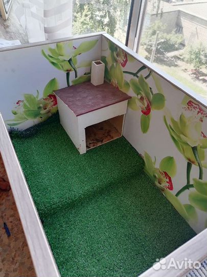 Террариум для рептилий