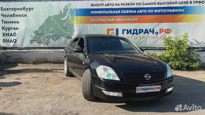 Обшивка двери задней левой Nissan Teana (J31) 8290