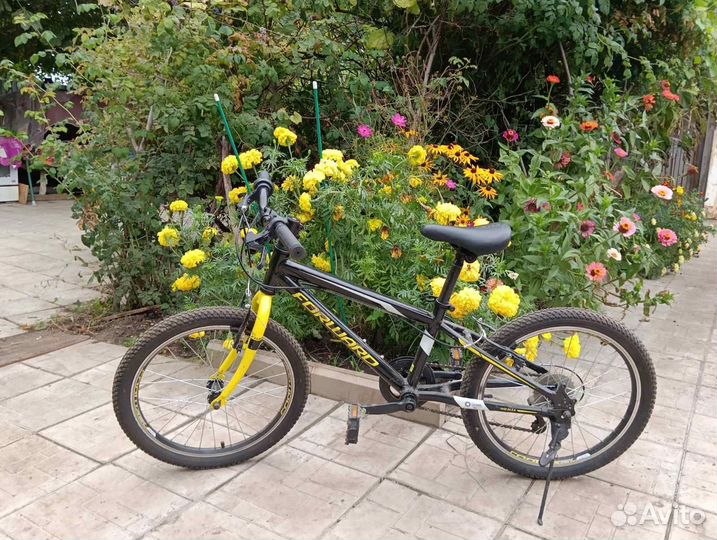 Велосипед, колеса 54-406(20*2, 0)