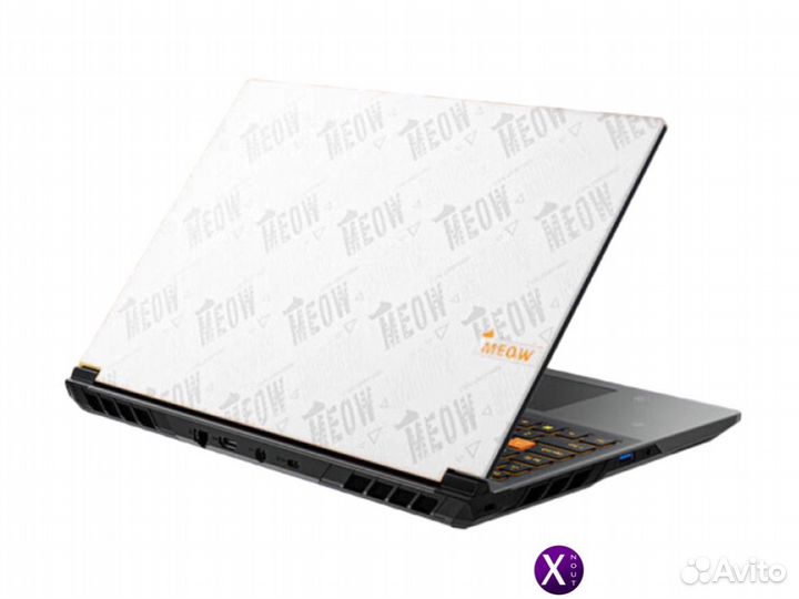 ColorFire Meow R15 RTX 4070 R7-8845HS 16GB/512GB