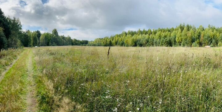 Участок 4,26 га (СНТ, ДНП)