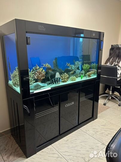 Аквариум cleair