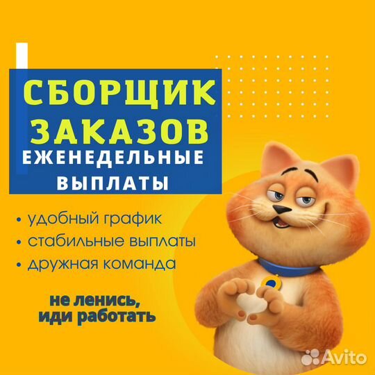 Сборщик заказов без опыта, еженедельные выплаты