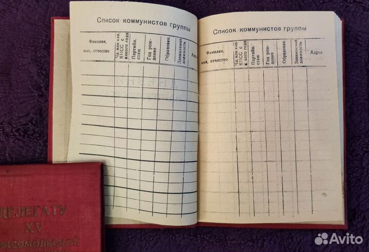 Дневник партгруппорга СССР