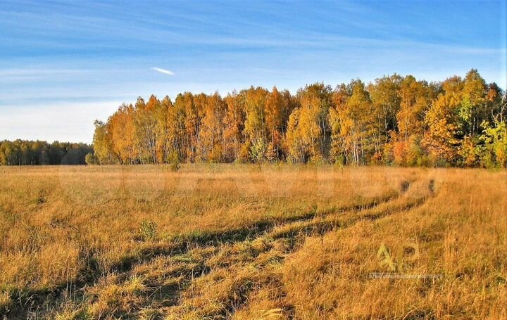 Участок 6 сот. (ИЖС)