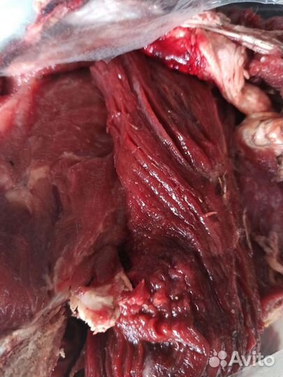 Корм для животных