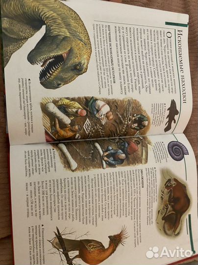 Большая энциклопедия школьника