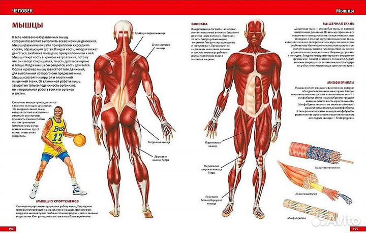 Большая детская энциклопедия. Владис