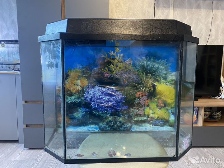 Аквариум
