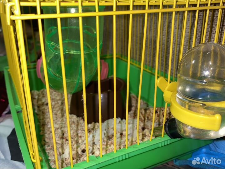 Клетка для хомяков (джунгариков, сирийских)
