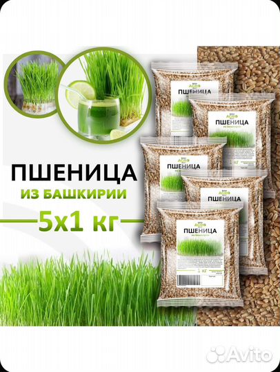 Пщеница 5 кг