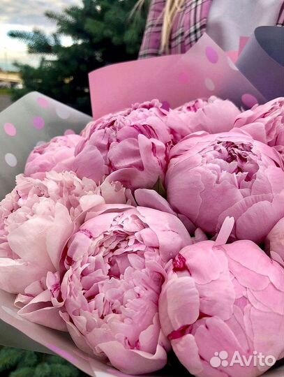 Пионы Букет пионов Доставка цветов