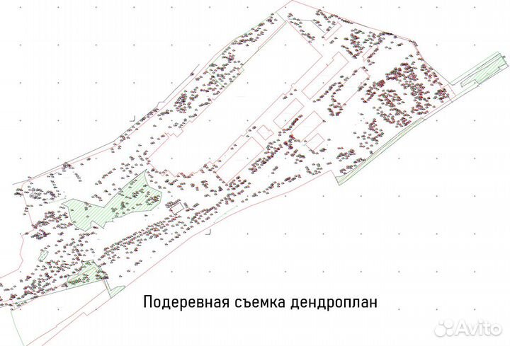 Геодезист. Вынос границ, топосъемка